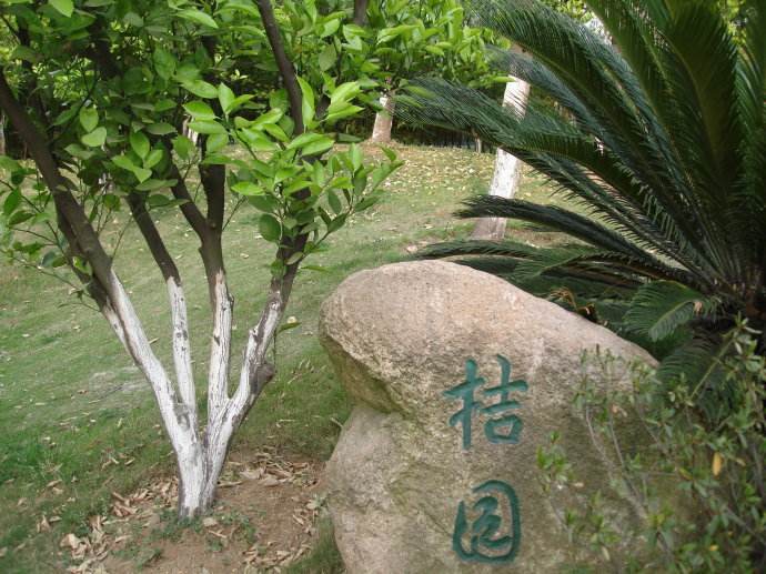 別墅庭院景觀設(shè)計(jì)離不開的13種植物