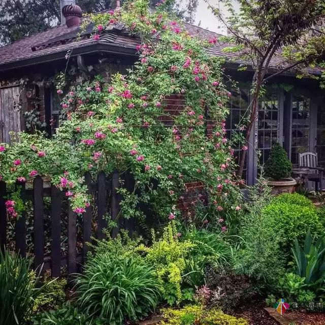 別讓花園空著，彩木園林給您打造一個花園式庭院