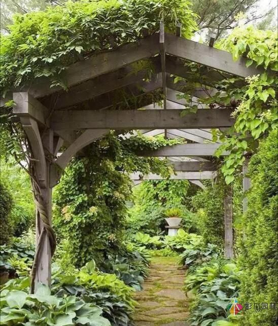 別讓花園空著，彩木園林給您打造一個花園式庭院