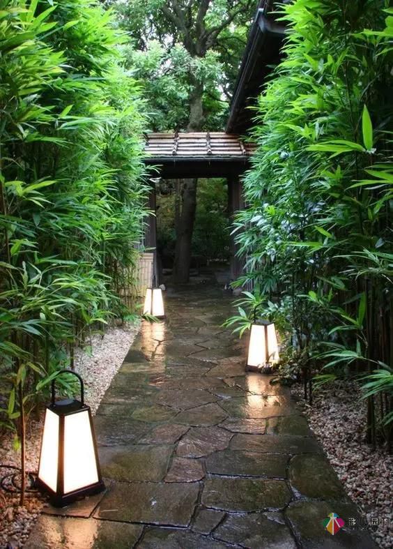 庭院設計領不開的三元素！