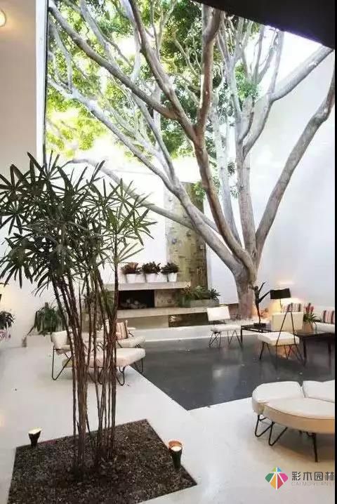 讓人心動的庭院設計,可不可以不要這么美