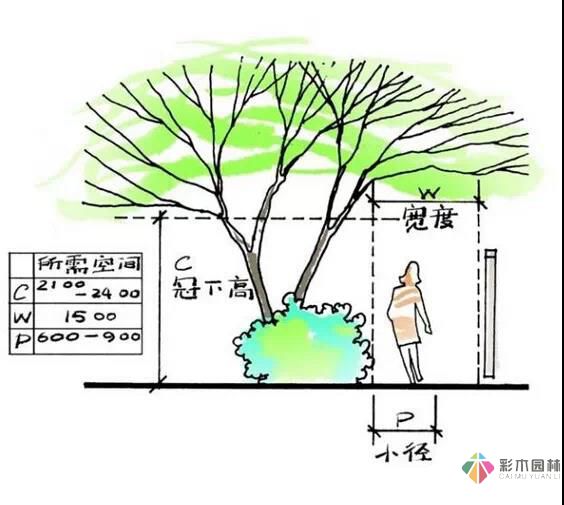 這樣的花園設(shè)計才有調(diào)性!