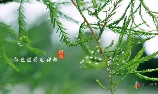 17種園林綠化種植技術及處理辦法，值得珍藏！