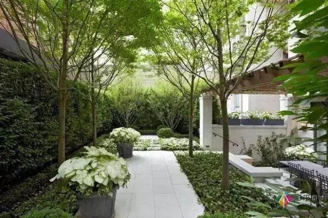 把握花園設(shè)計(jì)要素,建造實(shí)用私家花園