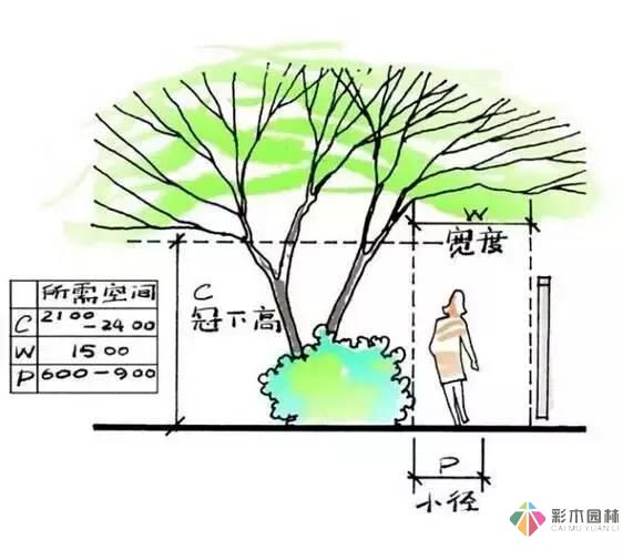 把握花園設(shè)計(jì)要素,建造實(shí)用私家花園