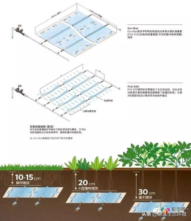 屋頂花園設計規范及植物配置!值得珍藏