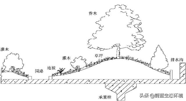 屋頂花園設計規范及植物配置!值得珍藏