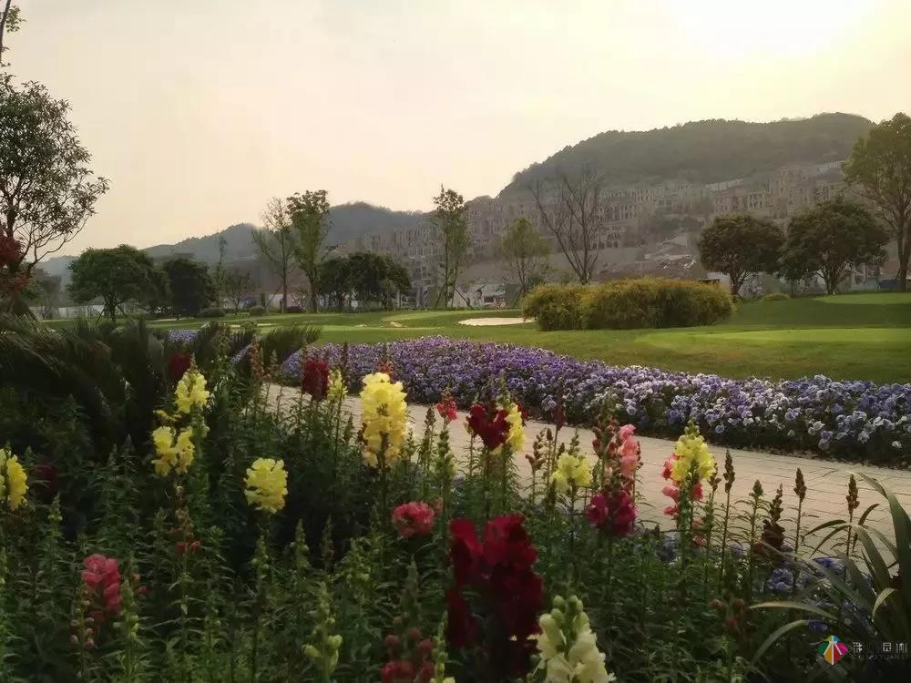 彩木園林花境園藝太漂亮，我也想弄一個！