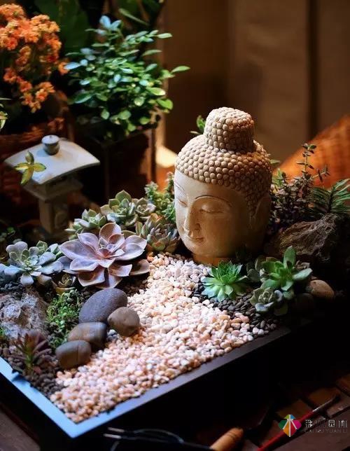 庭院花園設(shè)計(jì)常見(jiàn)的幾種植物