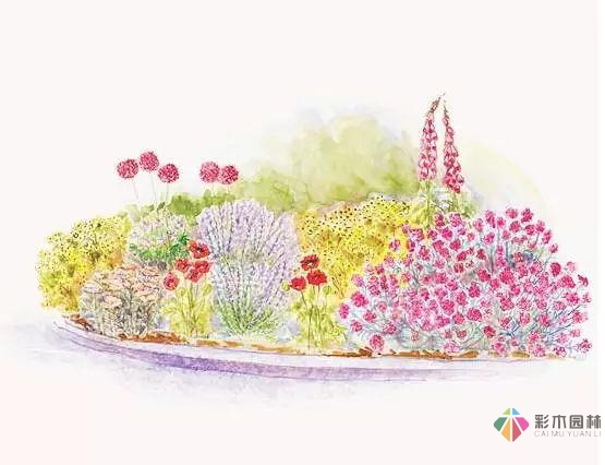 庭院花境園藝設(shè)計(jì)和植物搭配需要哪些要求？