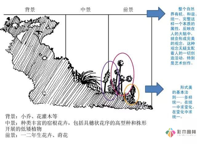 庭院花境園藝設(shè)計(jì)和植物搭配需要哪些要求？