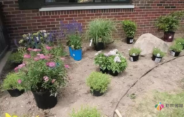 庭院花境園藝設(shè)計(jì)和植物搭配需要哪些要求？