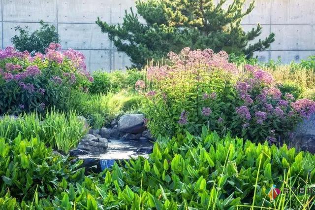 庭院花境園藝設(shè)計(jì)和植物搭配需要哪些要求？