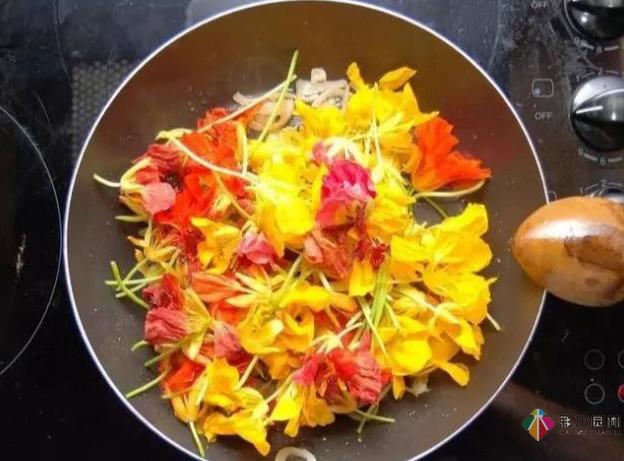 15個容器蔬菜花園設(shè)計看得我真的好想要!