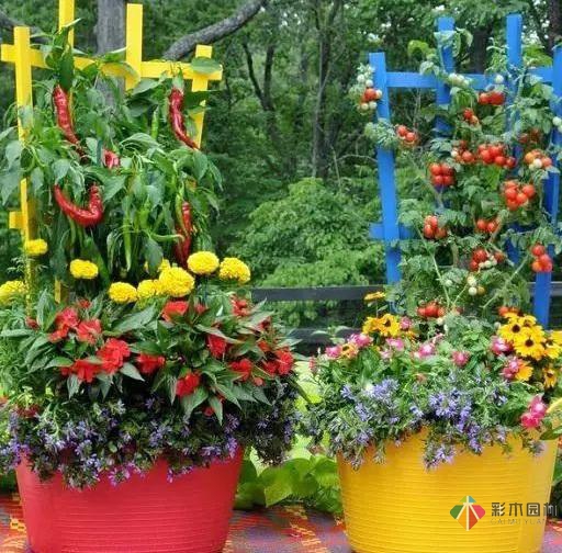 15個容器蔬菜花園設(shè)計看得我真的好想要!