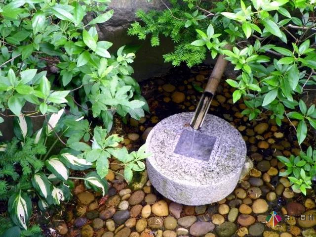 花園水景設計和養護要點基本的都在這里了!
