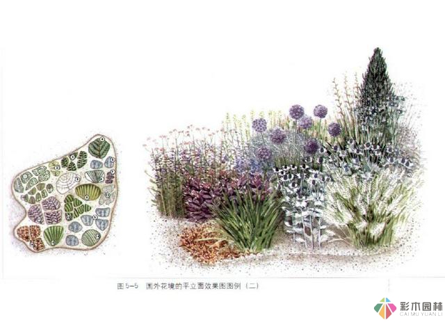 繪畫花境設(shè)計對植物總是表現(xiàn)的四方面