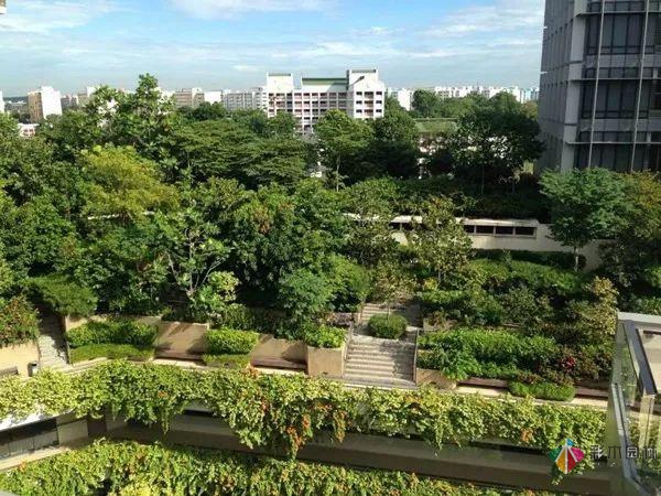 屋頂花園露臺(tái)設(shè)計(jì)案例效果圖