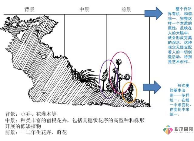 花園設計中該如何營造美麗的花境