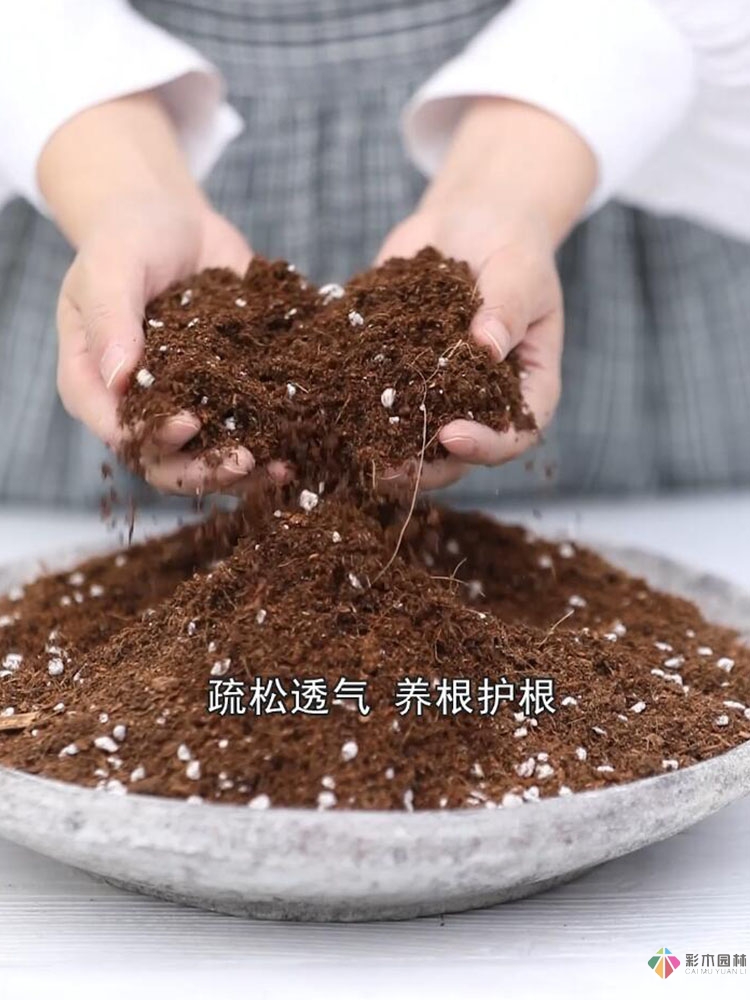 8平米開放式陽(yáng)臺(tái)，DIY變身自己的秘密花園，好美！
