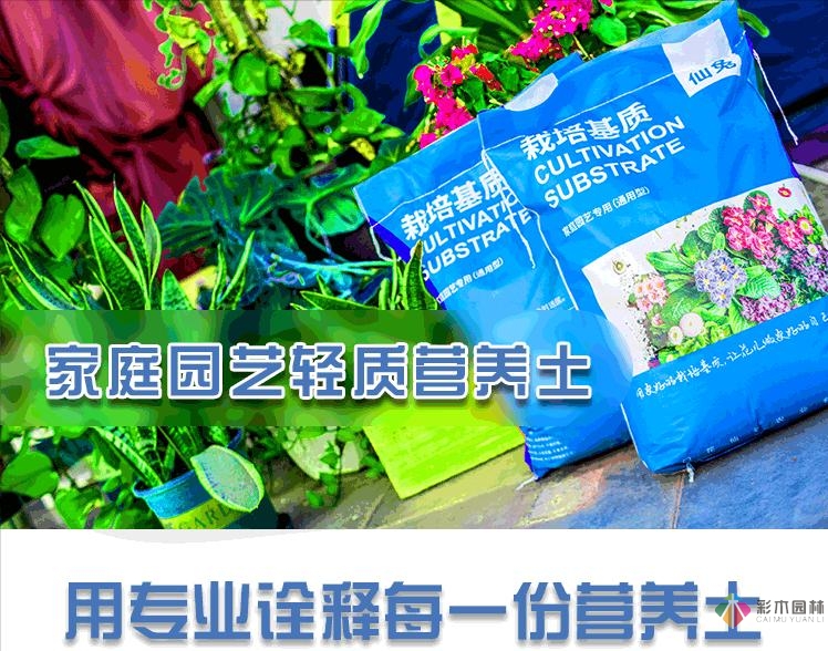 30㎡復(fù)式露臺(tái)，種花種草打造“sky 花園”，折騰了一年多，