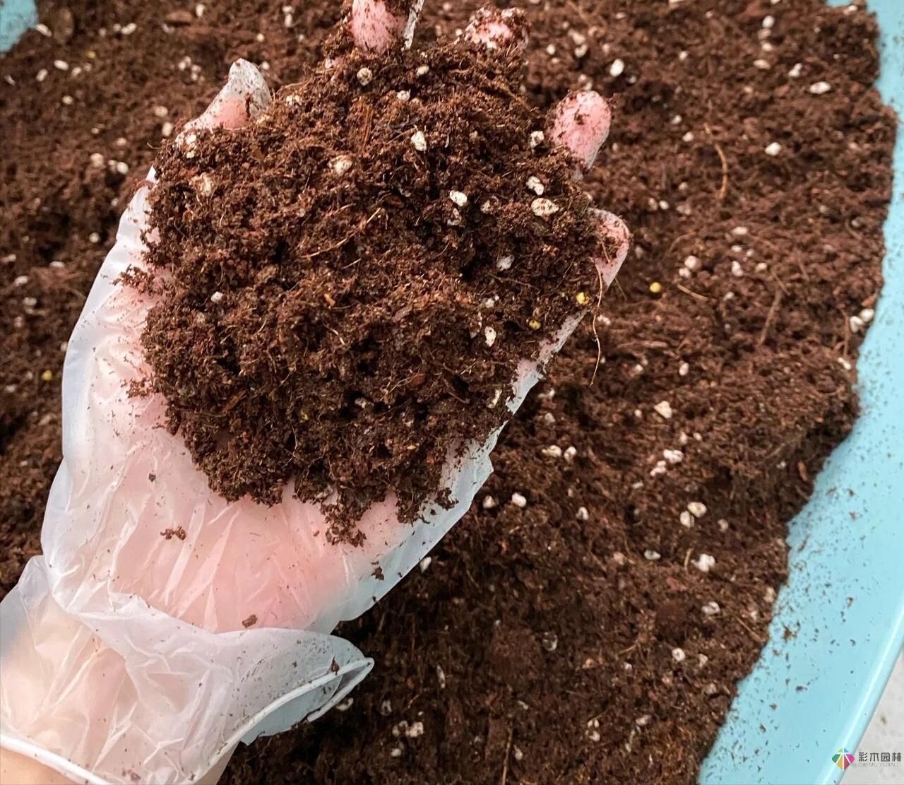 30㎡復(fù)式露臺(tái)，種花種草打造“sky 花園”，折騰了一年多，