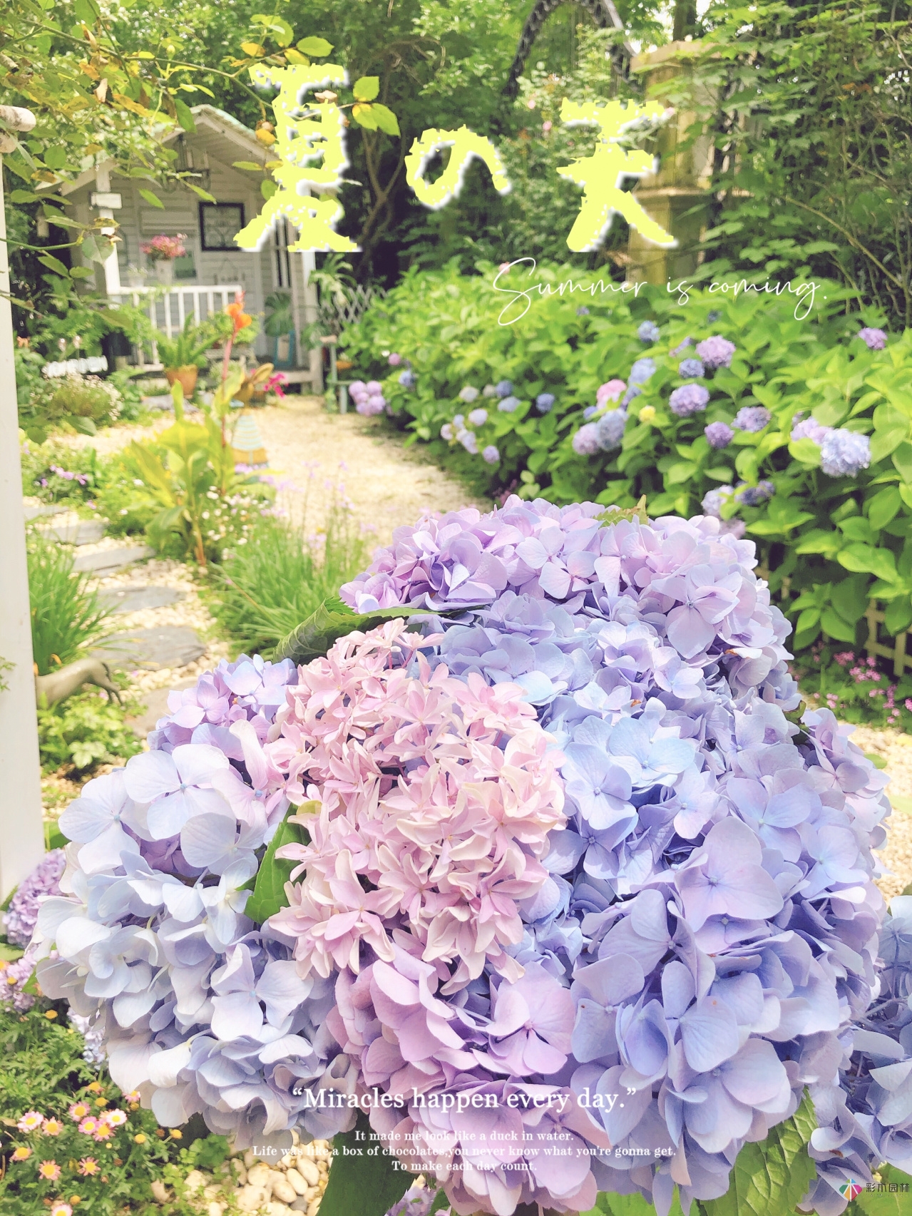 100㎡首層庭院，打造“私人小花園”雜貨風(fēng)格。太美了。
