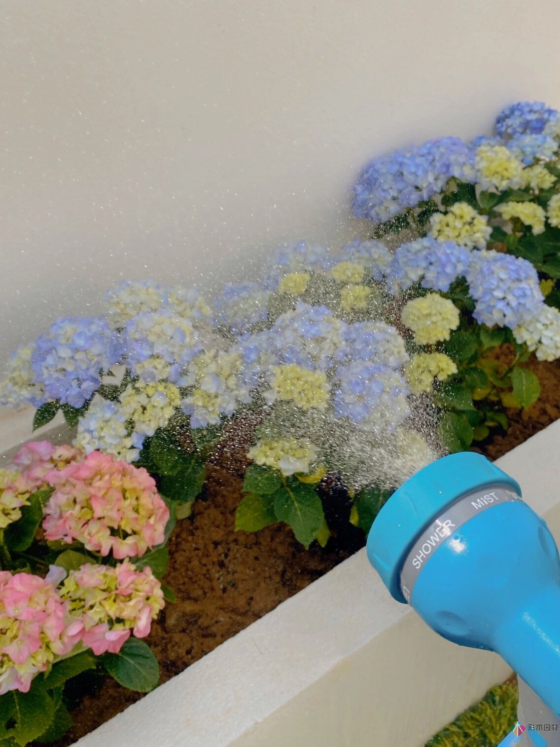 花17萬，改造農村自建房150 m2庭院花園，入住三個月，感覺好